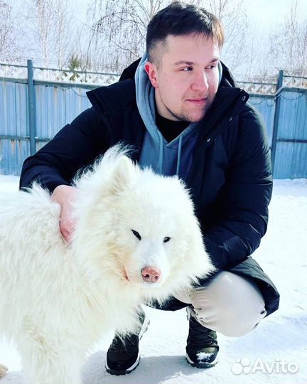 Настройка iiko, R-keeper, Poster, Эвотор