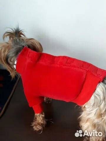 Комбинезончик для маленькой собаки