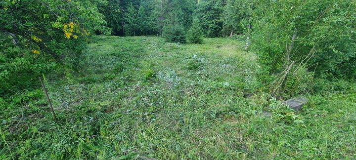 Участок 6 сот. (СНТ, ДНП)