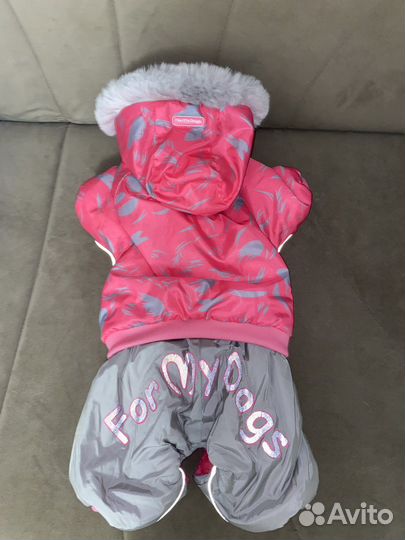 Костюм для собак