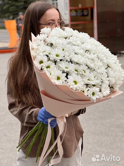19 хризантем кустовых