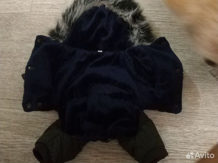 Одежда для собак