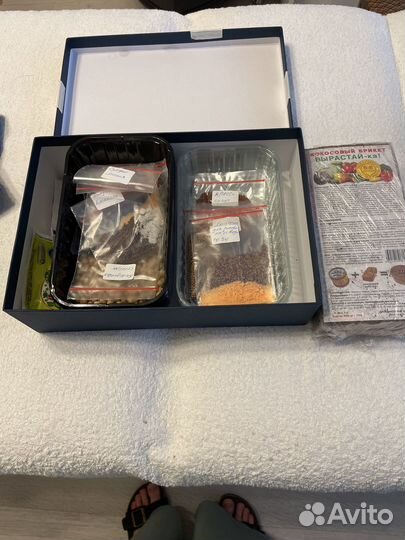 Набор для выращивания микрозелени