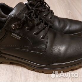 Ecco track cheap 6 price