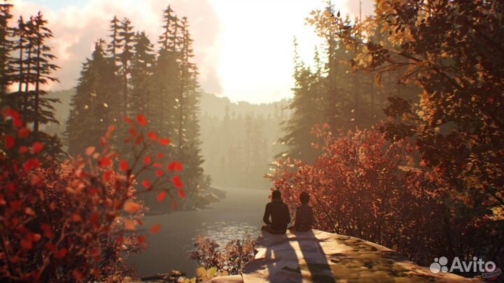 Life is Strange 2 (PS4/PS5)