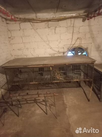 Клетки для кроликов бу