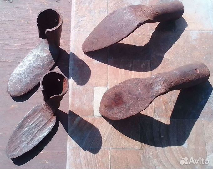 Лапа сапожная