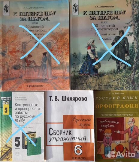 Русский язык учебная литература