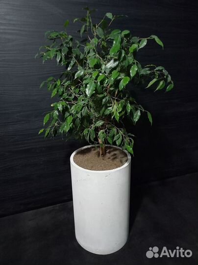 Горшки, Вазоны, Кашпо под заказ из бетона