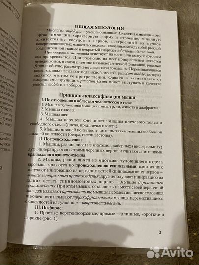 Учебник анатомия мышечной системы