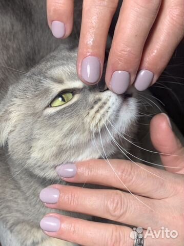 Ногти гель лак на дому