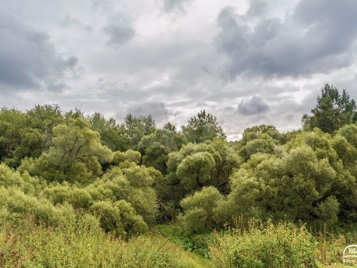 Участок 8,9 сот. (СНТ, ДНП)