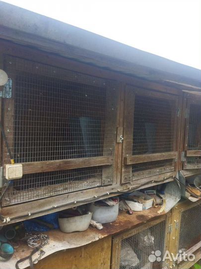 Клетки для кроликов бу