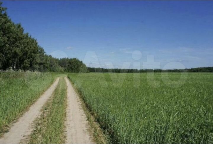 Участок 14 сот. (СНТ, ДНП)