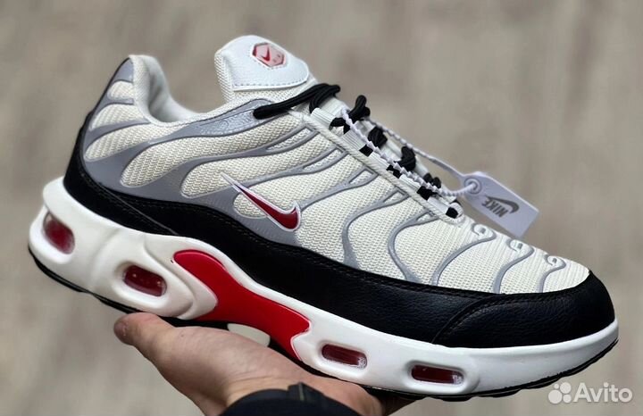 Кроссовки nike air max Terrascape TN plus, мужские