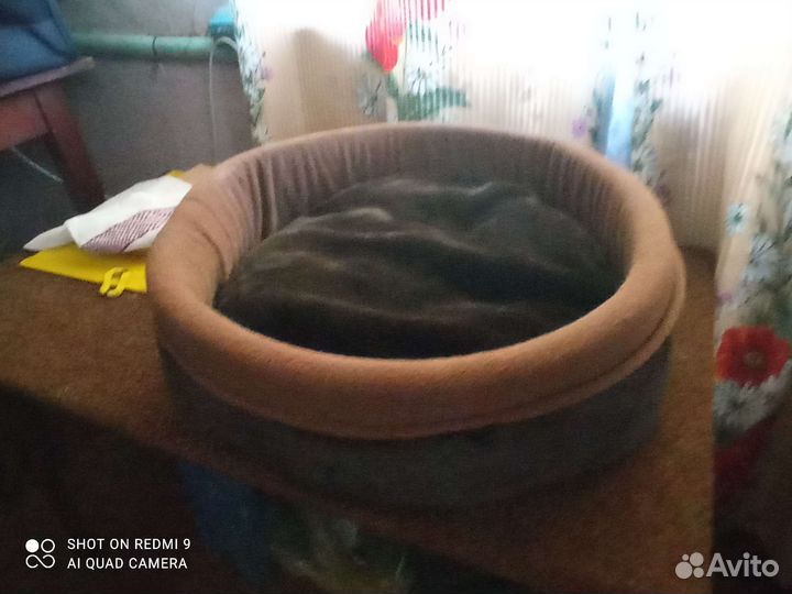 Домик для кошки новый