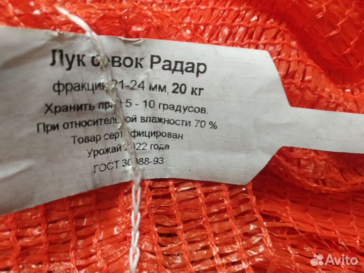 Лук севок Радар