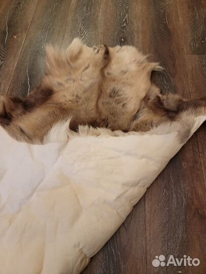 Шкура оленя