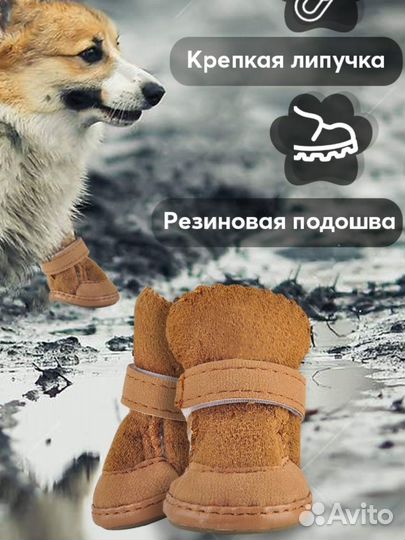 Зимние сапожки для мини собачоныша