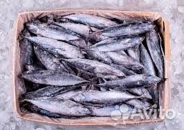 Продается готовый рыбный магазин с высокой прибыль