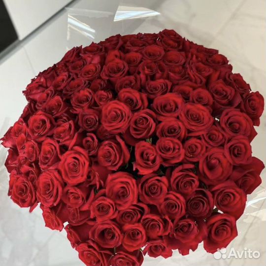 Букет из 25 роз, 35, 51, 101