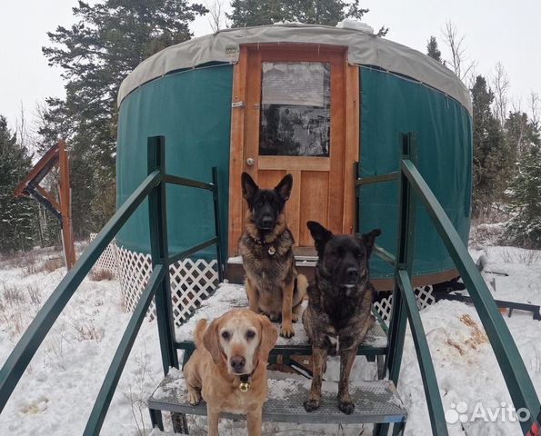 Быстровозводимый дом в Тихорецк найти