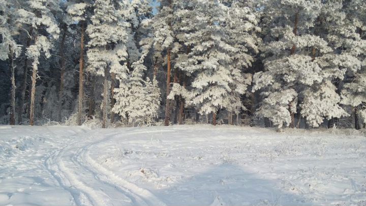 Участок 8 сот. (СНТ, ДНП)