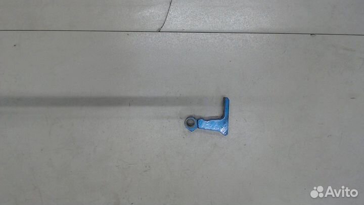 Петля двери Skoda Fabia, 2019