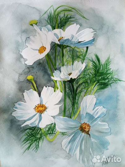 Акварель, Космеи