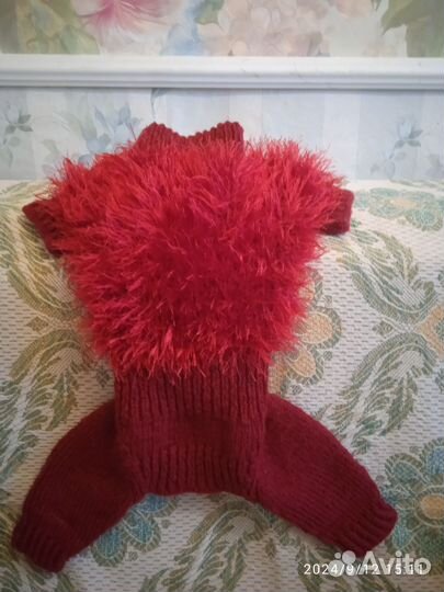 Одежда для маленьких собак