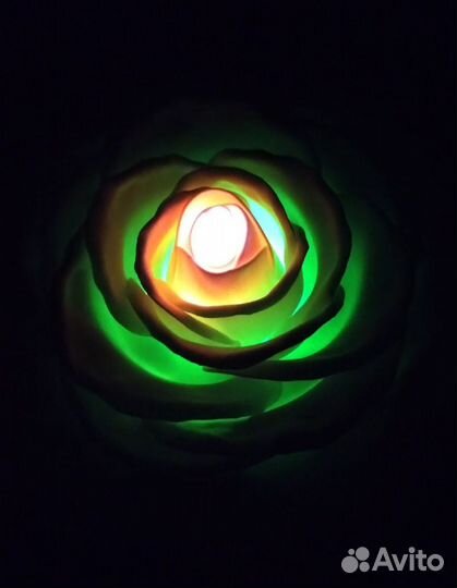 Ростовые цветы, ночники, светильники, торшеры из и