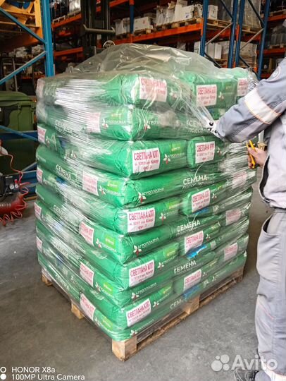 Семена подсолнечника Экселент - (Экспресс)