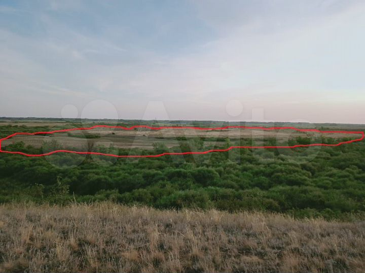 Участок 31 га (СНТ, ДНП)