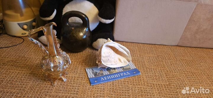 Кувшин стекло и раковина морская большая