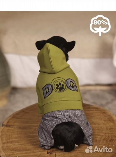 Одежда для маленьких собак