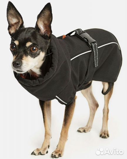 Попона для собаки