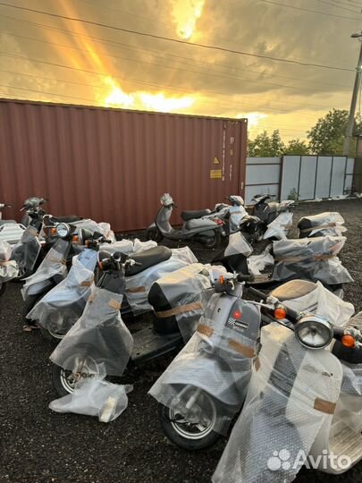 Honda dio 34 в разбор