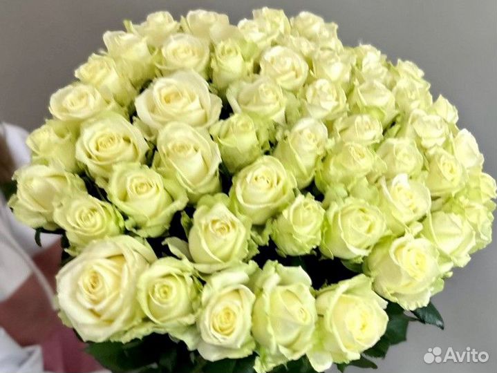 Цветы розы и букеты с доставкой 25 35 51 101