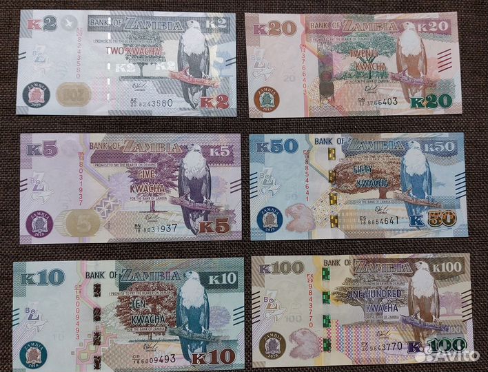 Банкноты Замбии (действующие)