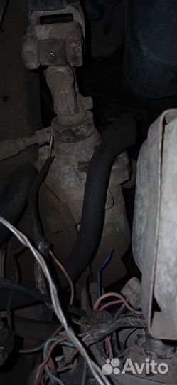 Гур на газель соболь