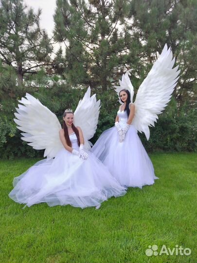 Танцевальное шоу, шоу балет