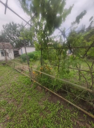 Дом 48 м² на участке 5 сот.