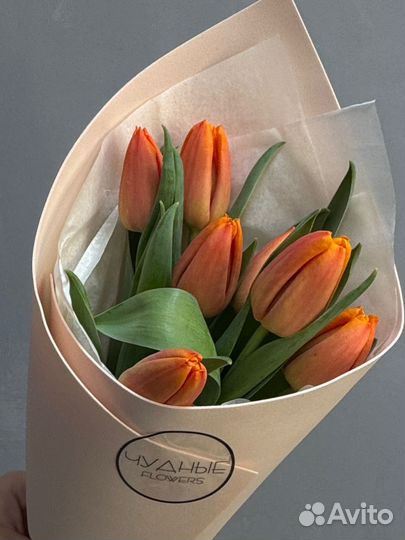 Тюльпаны букеты цветы