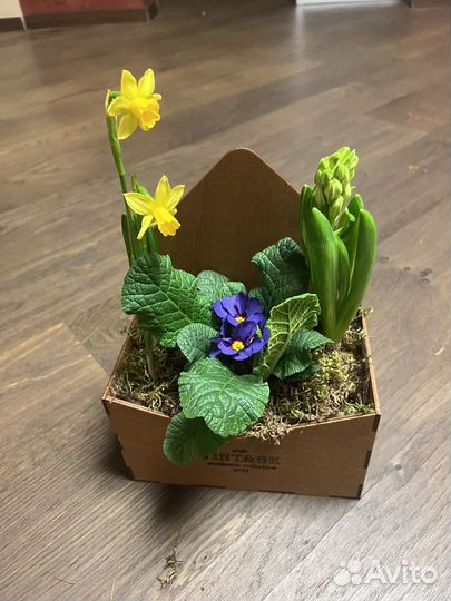 Букет с луковицами