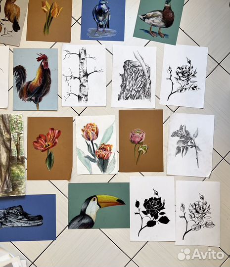 Работы по рисунку, живописи, наброски, пленер