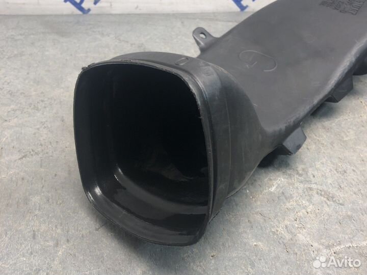 Лев воздуховод ног Меган 2