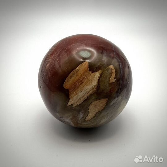 Шар из окаменелого дерева окаменелость ископаемое
