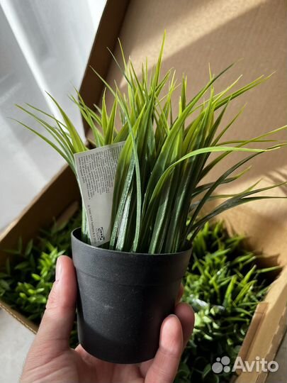 Икеа fejka фейка Искусственное растение