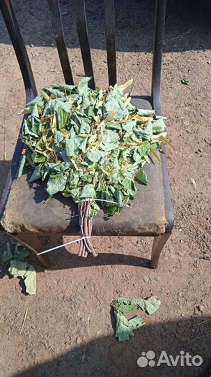 Банные веники