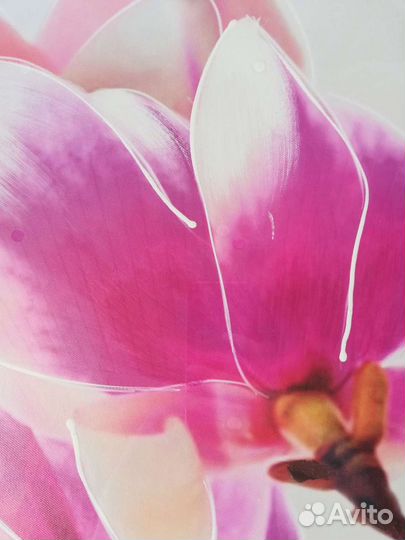 Картина новая